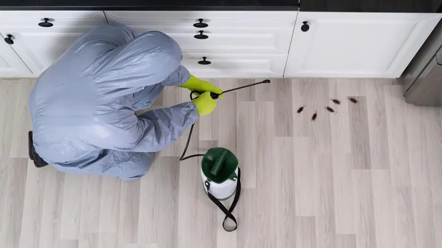 residential pest control Ajax