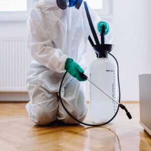 residential pest control Ajax