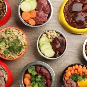 raw food dog delivery