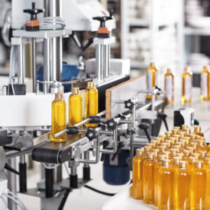 gmp certification in india