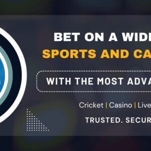 www allpanelexch com login