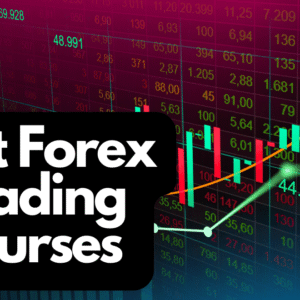 Best Forex Trading Course