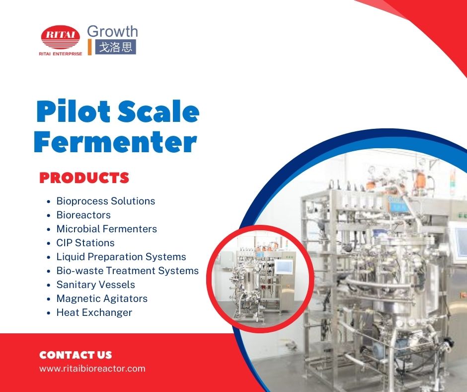 Pilot Scale Fermenter 