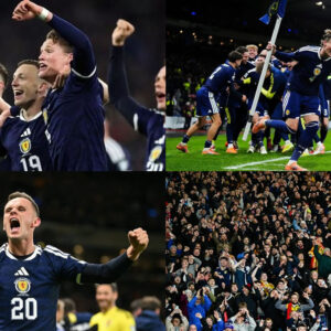 Scotland Vs Brazil Tickets| Scotland Vs Morocco Tickets | FIFA 2026 Tickets