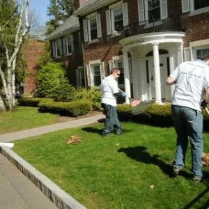 yard cleanup service