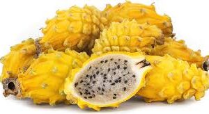 Yellow Dragon Fruit