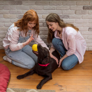 dog day care services