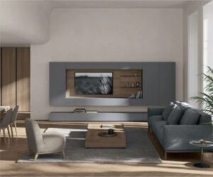 Trendy Living room furniture