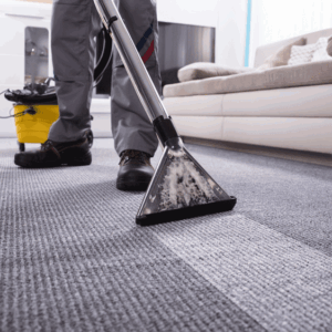 Best Carpet Cleaning