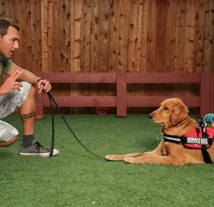 Dog Trainer Service Marietta GA