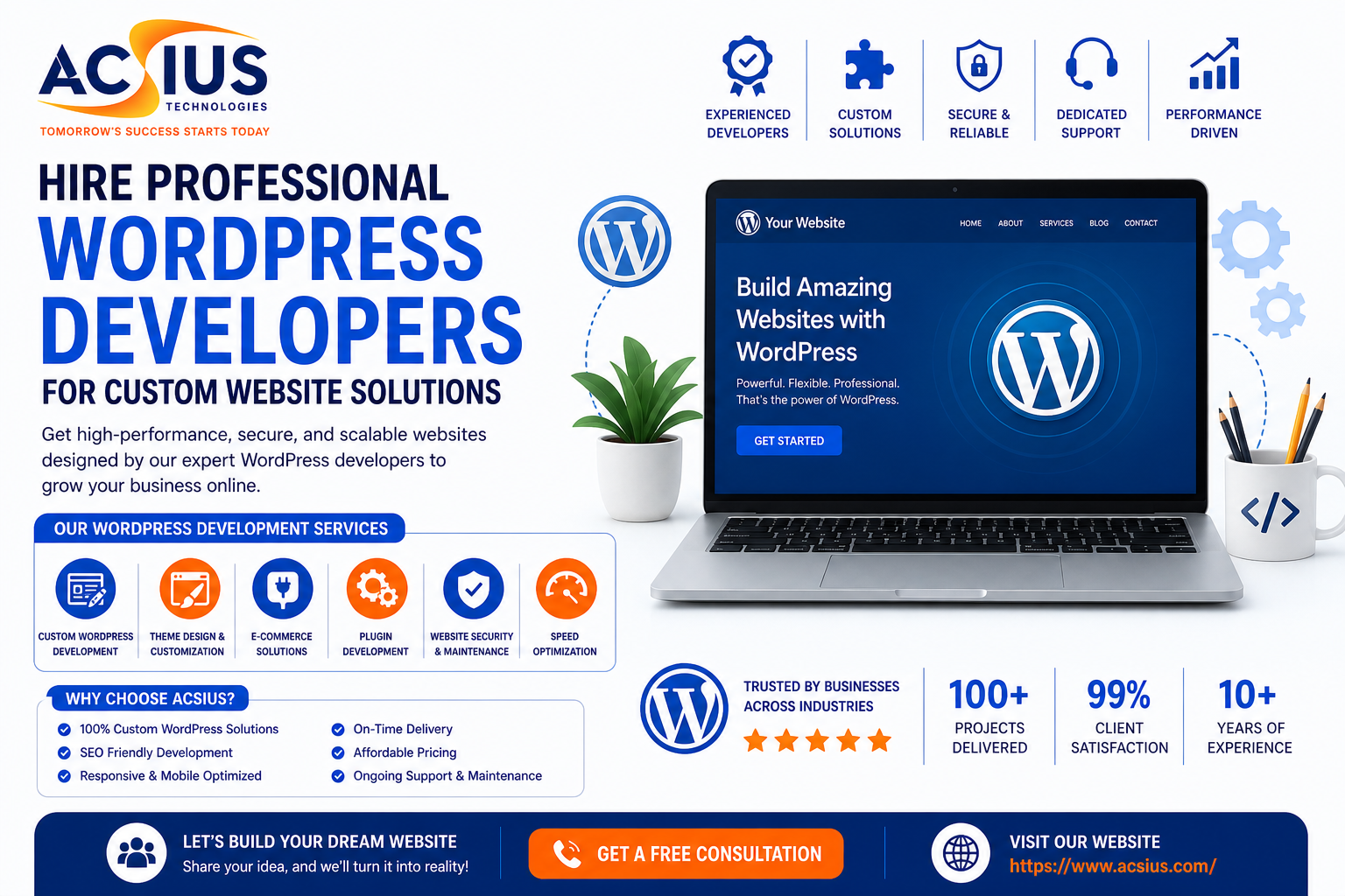 Hire Professional WordPress Developers