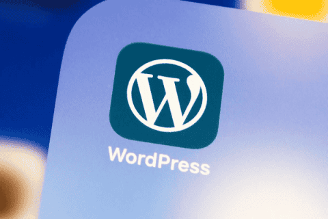 Best Hosting, Best WordPress Hosting Providers in India, WordPress Hosting India, WordPress Hosting in India, WordPress Hosting, fast hosting, India hosting, Web Hosting, WordPress hosting